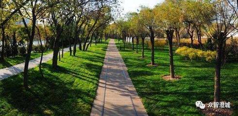 信用纳为重要指标！江阴出台新的园林绿化工程招投标管理实施细则