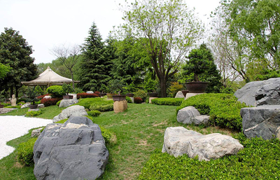 《园林绿化工程建设管理规定》发布，擘画城市绿色未来新蓝图