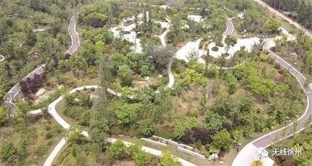 新法严惩彰显决心，徐州生态建设再谱新篇