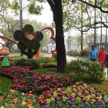 四川森磊淼绿化园林工程有限责任公司 打造绿色生态的专业园艺品牌