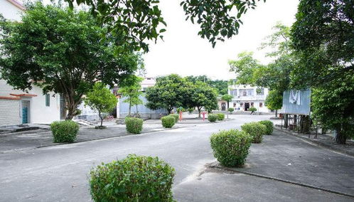 政策东风起，园林行业迎发展新机遇