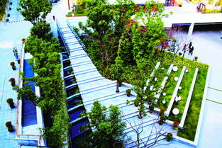 发展研究 园林绿化市场监管新思路与工程实践路径