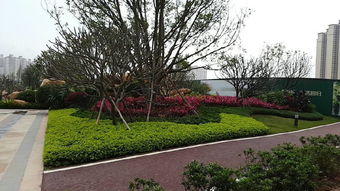 惠州罗浮山寺庙二期配套景观工程 匠心铸造禅意园林