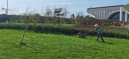 加强夏季园林管护，提升城市绿化品质